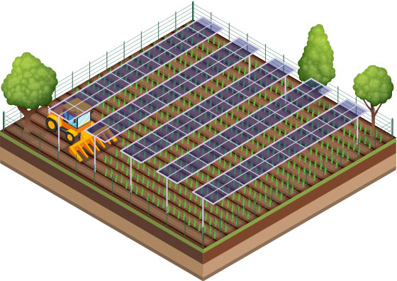 AgroPV e Agricoltura